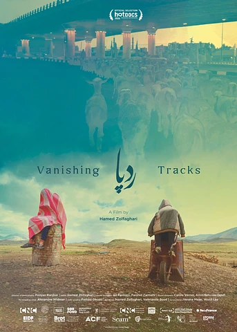 Poster de Vanishing Tracks