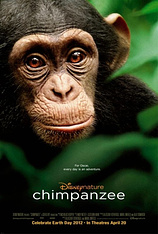 poster of movie Chimpanzee