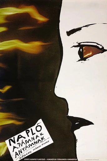 Poster de Diario para mis padres