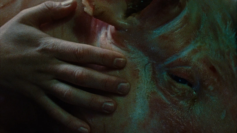 Imagen de Skin on Skin