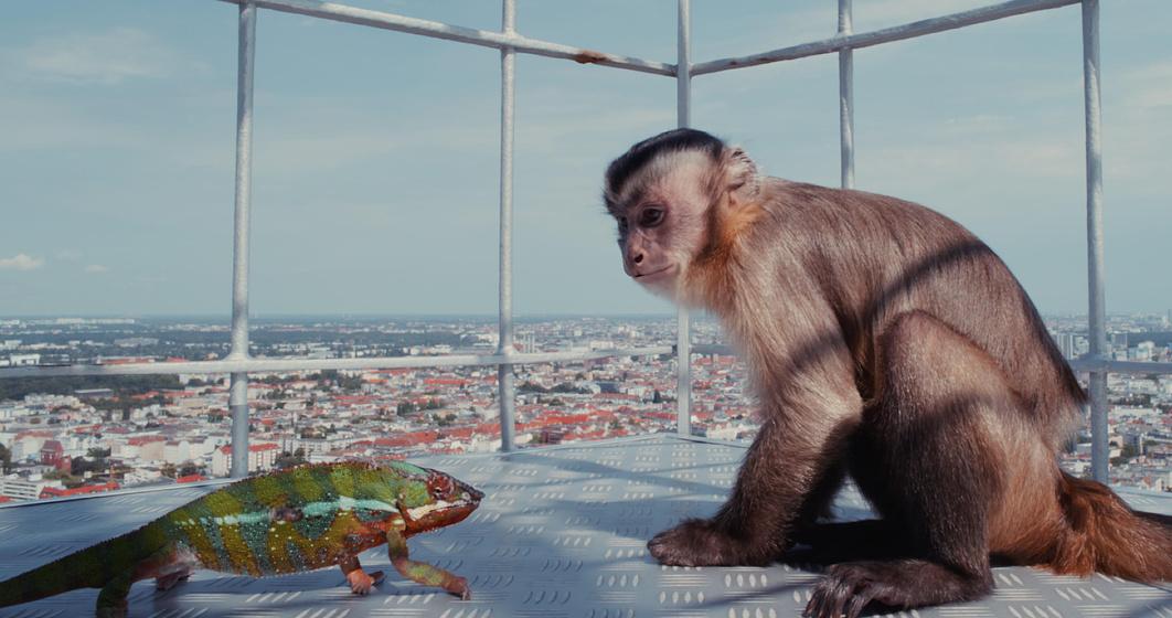 Imagen de Akiko, the Flying Monkey