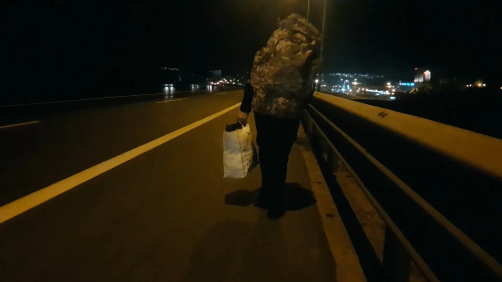 Imagen de a-fox-under-a-pink-moon