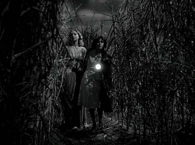 Frances Dee y Christine Gordon en Yo anduve con un Zombie