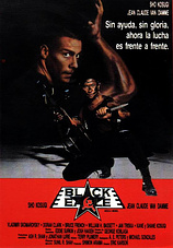 poster of movie Black Eagle