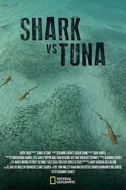 Shark vs. Tuna