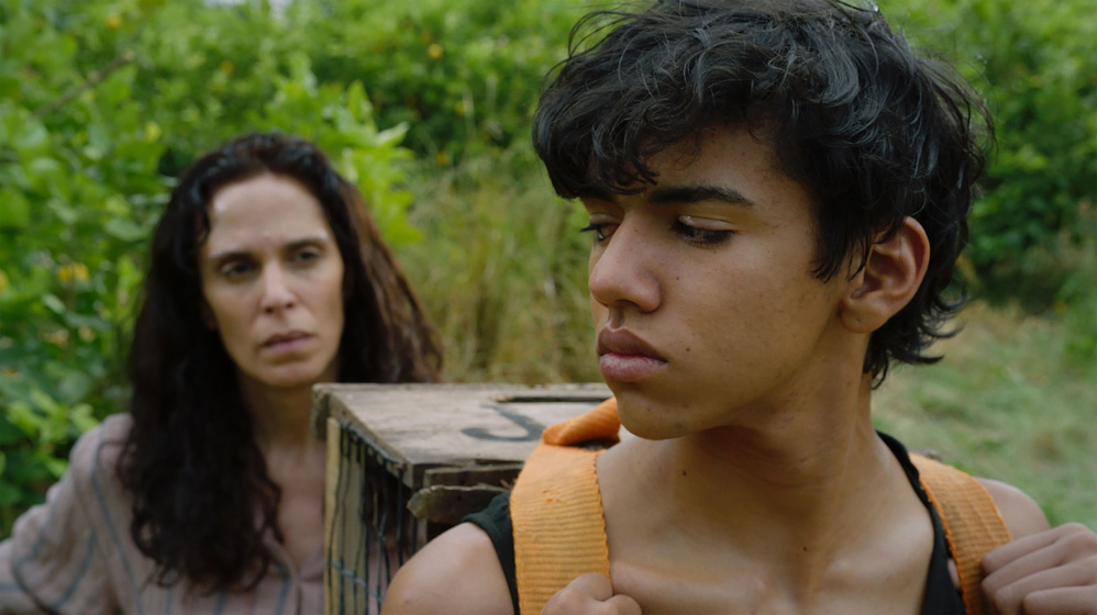 Imagen de Keep Coming Back