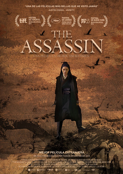 Imagen de The Assassin (Cartel español)