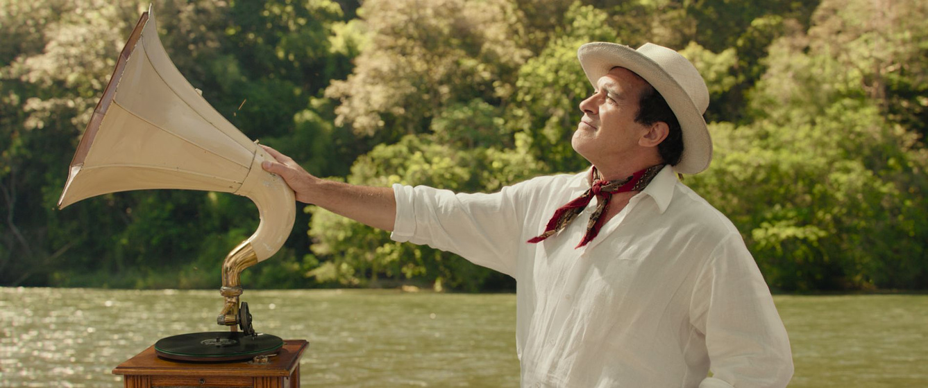 Antonio Banderas en Paddington: Aventura en la Selva