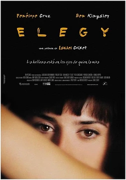 poster of movie Elegy