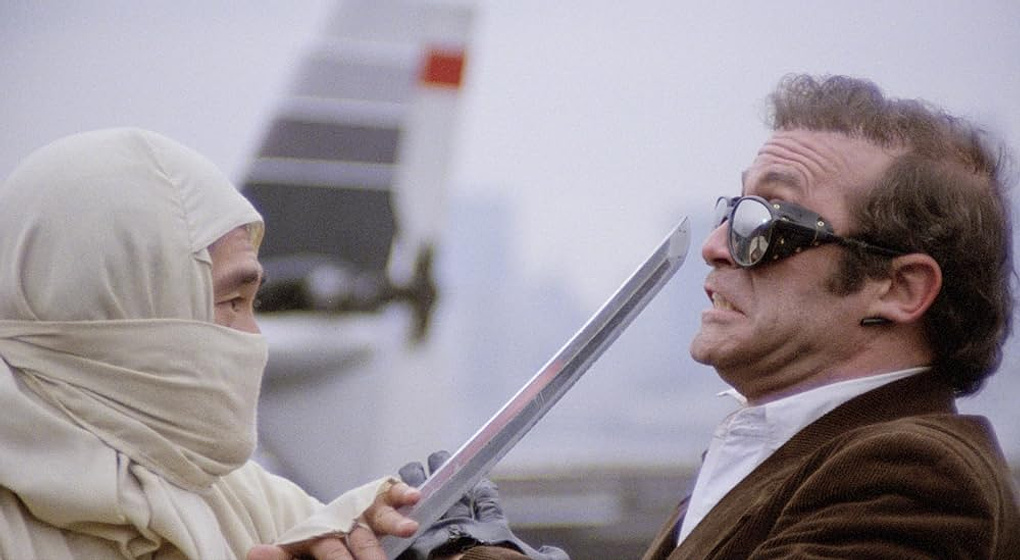 Imagen de New York Ninja