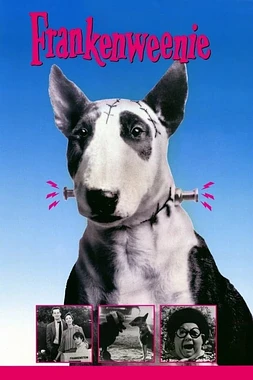 poster of movie Frankenweenie