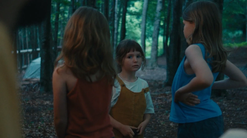 Imagen de Disección de una Incoherencia en Crisis