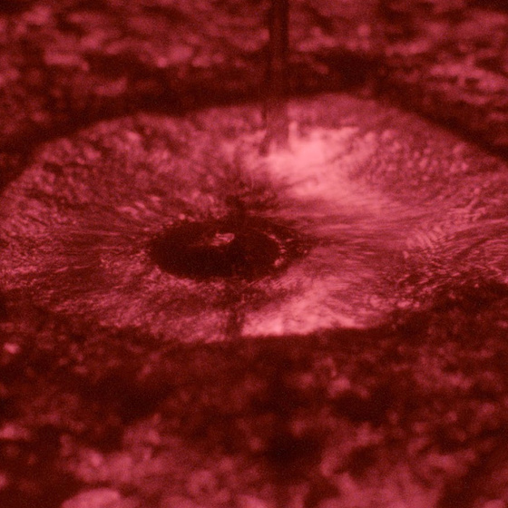 Imagen de Una Sombra Oscilante