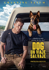 poster of movie Dog. Un Viaje salvaje