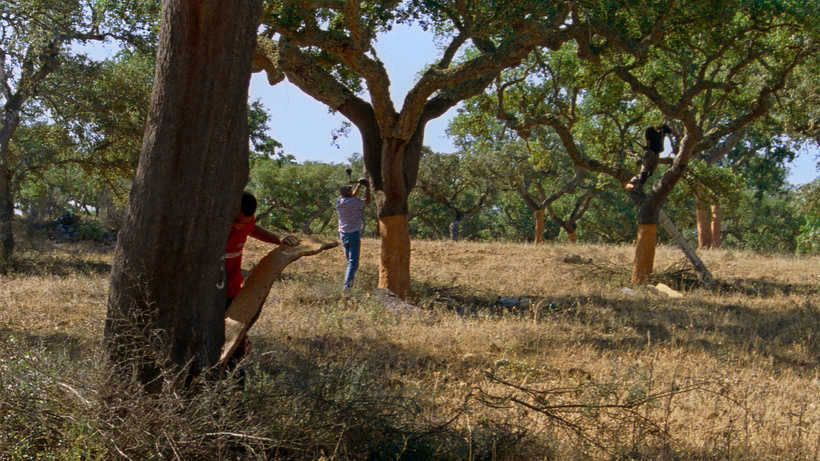 Imagen de The Seasons