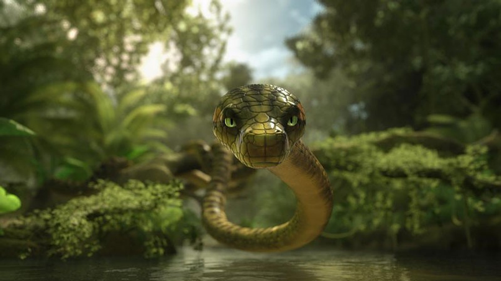 Imagen de Las Aventuras de Sammy. Un Viaje extraordinario