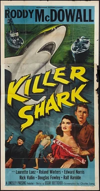 Killer Shark