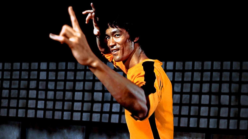 Imagen de Iron Fists and Kung Fu Kicks