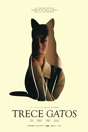 Poster de 13 Gatos