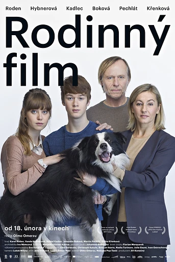 Poster de Family film