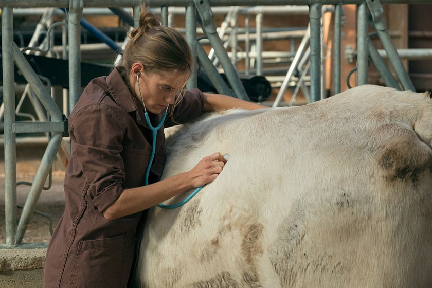 Noémie Schmidt en Una Veterinaria en la Borgoña