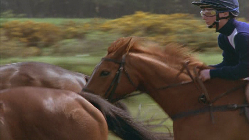 Imagen de Shergar