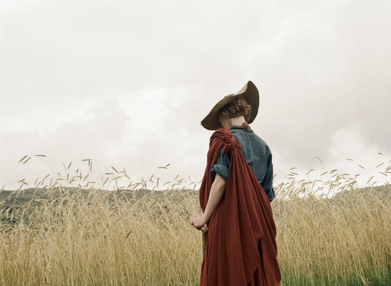 Imagen de harvest