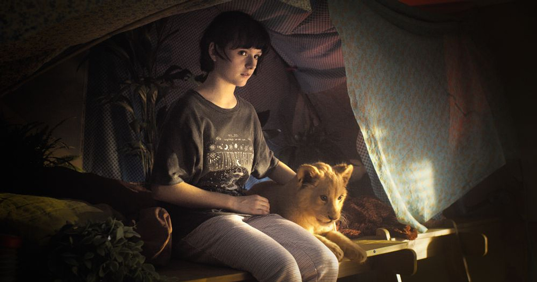Lou Lambrecht en King, mi Pequeño Rey