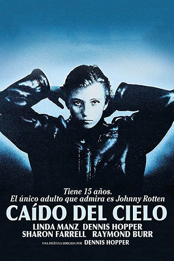 Poster de Caído del cielo