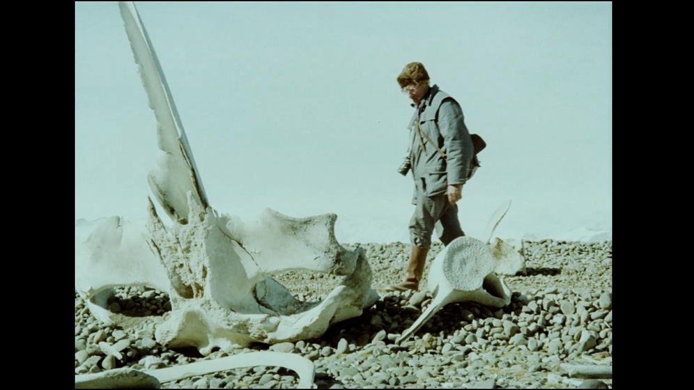 Imagen de The Faint Clatter of birds