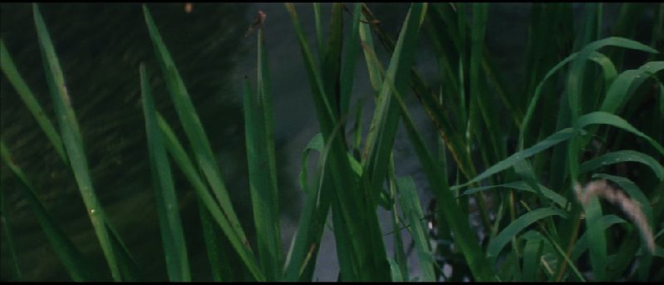 Imagen de Solaris