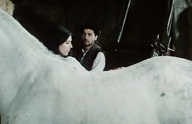Imagen de Silvia Ama a Raquel