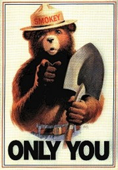 Imagen de The Ballad of Smokey the Bear (Cartel publicitario de Smokey)