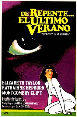 poster of movie De repente, el último verano