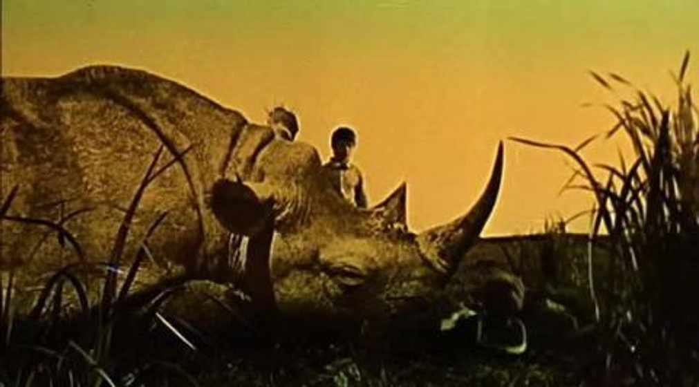 Imagen de El Dirigible Robado