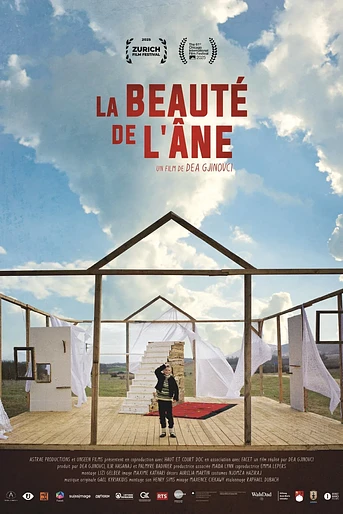 Poster de The Beauty of the Donkey