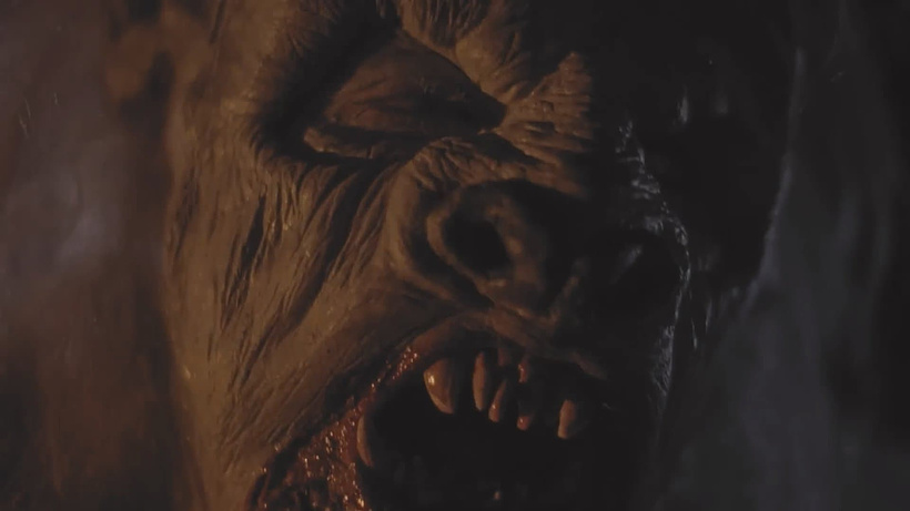 Imagen de Yeti: La maldición del demonio blanco