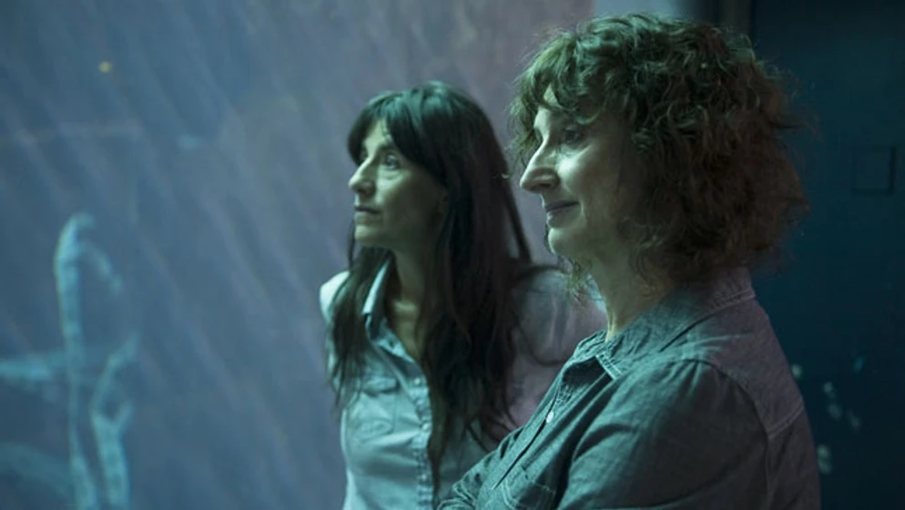 Imagen de vic-flo-saw-a-bear