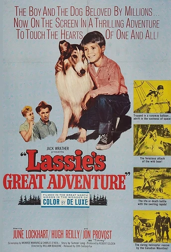 Poster de La Gran aventura de Lassie