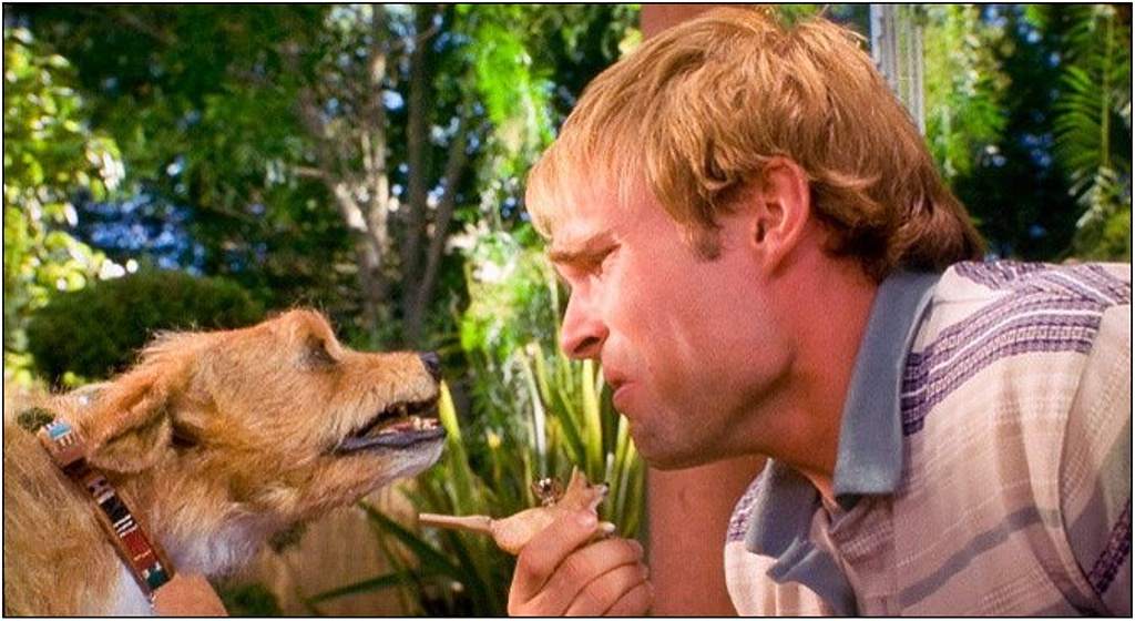 Seann William Scott en Colega, ¿Dónde está mi Coche?