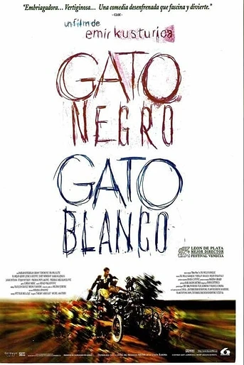 Poster de Gato Negro, Gato Blanco