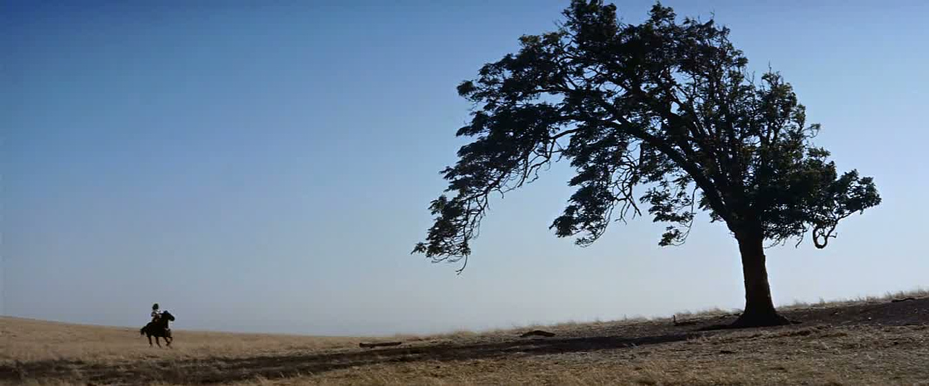 Imagen de Horizontes de Grandeza