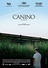 poster of movie Canino