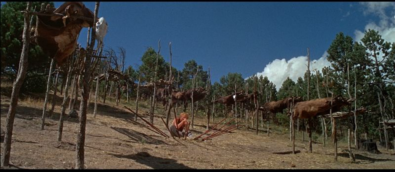 Imagen de Un Hombre llamado caballo