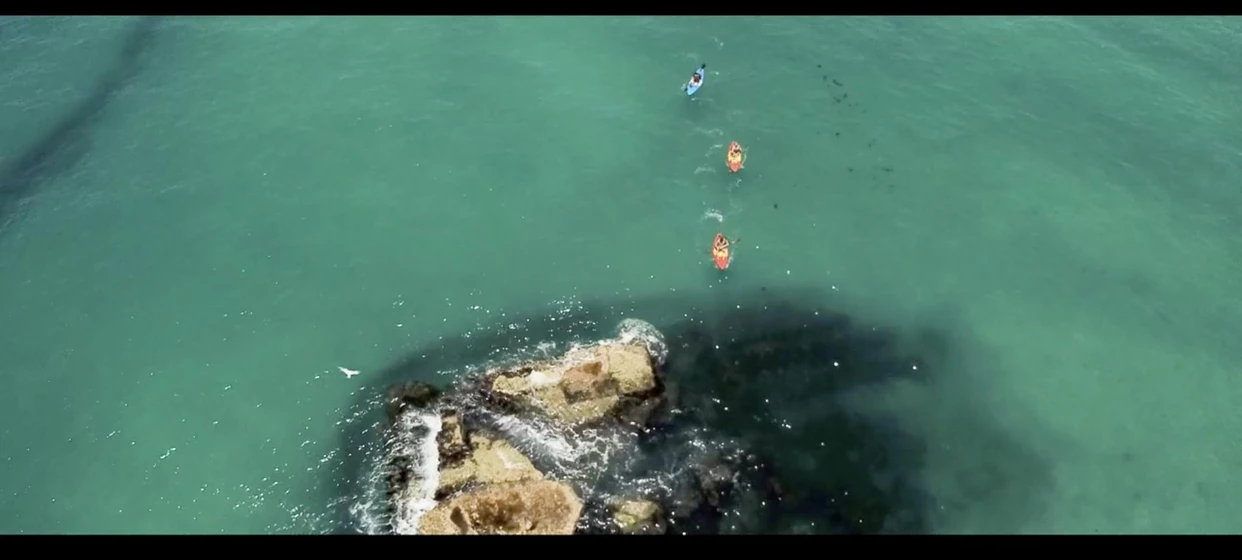 Imagen de shark-season