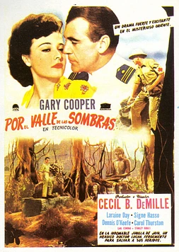 poster of movie Por el Valle de las Sombras