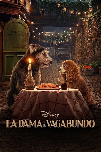 Poster de La dama y vagabundo