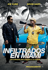 poster of movie Infiltrados en Miami