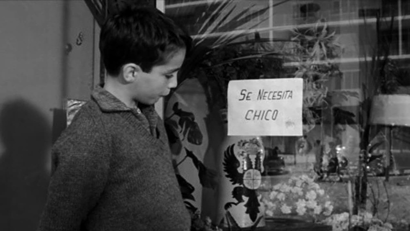 Imagen de Se Necesita Chico