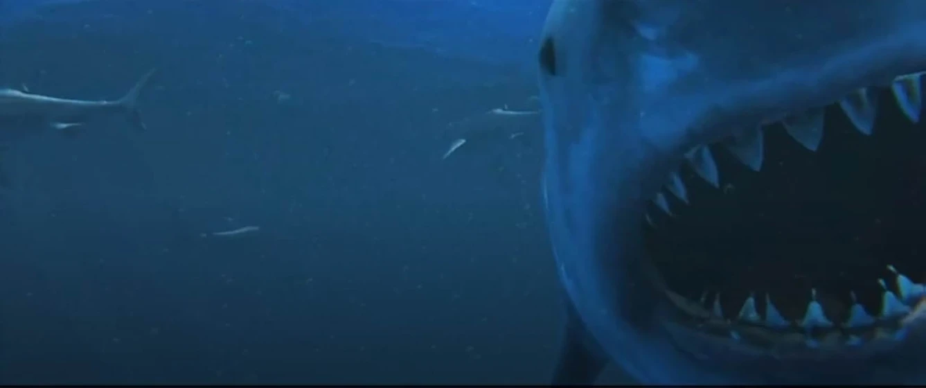 Imagen de virus-shark
